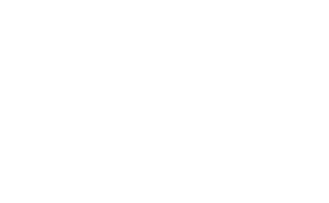 Dragons & Mythical Beasts